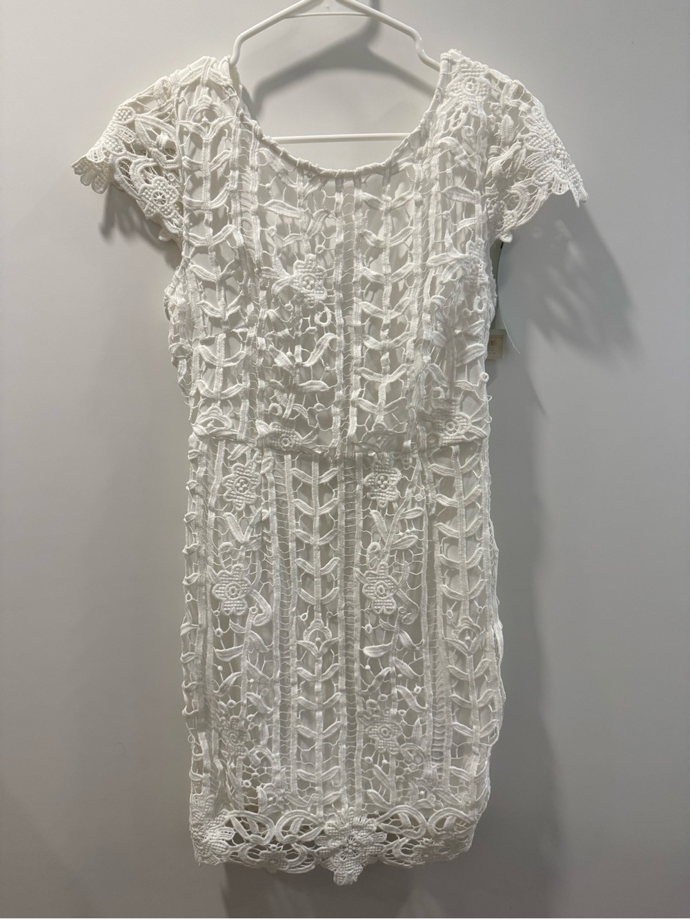 She + Sky White Lace Sheath Dress
